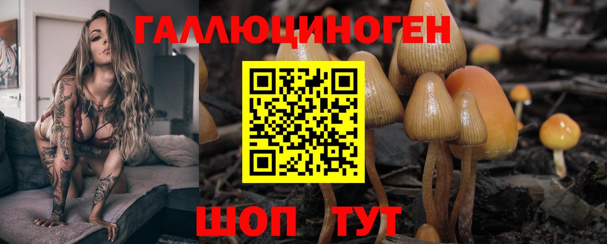 Тулун  Галлюциногенные грибы Magic Shrooms  Вход с VPN 
