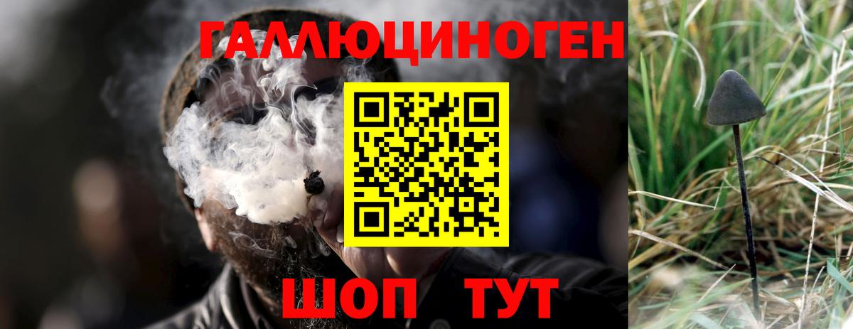 Псилоцибиновые грибы GOLDEN TEACHER Тулун